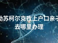 克孜勒苏柯尔克孜上户口亲子鉴定去哪里办理