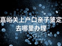 嘉峪关上户口亲子鉴定去哪里办理