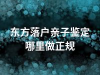 东方落户亲子鉴定哪里做正规