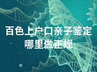 百色上户口亲子鉴定哪里做正规