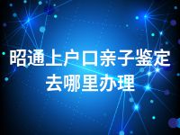 昭通上户口亲子鉴定去哪里办理