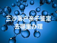 三沙落户亲子鉴定去哪里办理