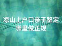 凉山上户口亲子鉴定哪里做正规