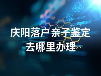 庆阳落户亲子鉴定去哪里办理