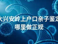 大兴安岭上户口亲子鉴定哪里做正规