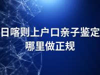 日喀则上户口亲子鉴定哪里做正规