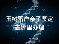 玉树落户亲子鉴定去哪里办理