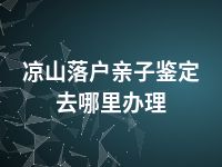 凉山落户亲子鉴定去哪里办理