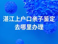 湛江上户口亲子鉴定去哪里办理