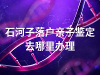 石河子落户亲子鉴定去哪里办理