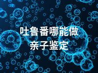 吐鲁番哪能做亲子鉴定