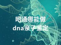 昭通哪能做dna亲子鉴定