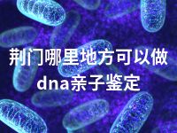 荆门哪里地方可以做dna亲子鉴定