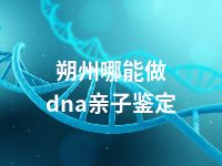 朔州哪能做dna亲子鉴定