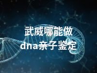 武威哪能做dna亲子鉴定