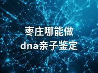 枣庄哪能做dna亲子鉴定