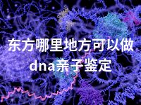 东方哪里地方可以做dna亲子鉴定