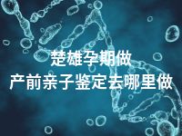 楚雄孕期做产前亲子鉴定去哪里做