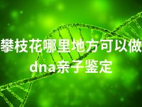 攀枝花哪里地方可以做dna亲子鉴定