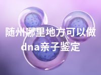 随州哪里地方可以做dna亲子鉴定