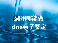 湖州哪能做dna亲子鉴定