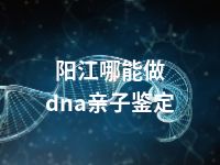 阳江哪能做dna亲子鉴定