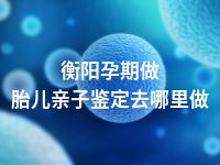 衡阳孕期做胎儿亲子鉴定去哪里做