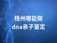 梧州哪能做dna亲子鉴定