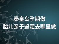 秦皇岛孕期做胎儿亲子鉴定去哪里做