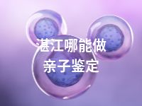 湛江哪能做亲子鉴定