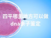 四平哪里地方可以做dna亲子鉴定