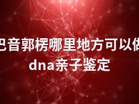 巴音郭楞哪里地方可以做dna亲子鉴定