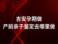 吉安孕期做产前亲子鉴定去哪里做