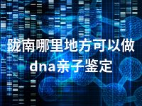 陇南哪里地方可以做dna亲子鉴定