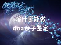 喀什哪能做dna亲子鉴定