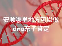 安顺哪里地方可以做dna亲子鉴定