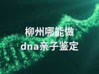 柳州哪能做dna亲子鉴定