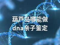 葫芦岛哪能做dna亲子鉴定