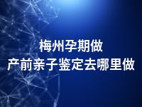 梅州孕期做产前亲子鉴定去哪里做