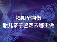 揭阳孕期做胎儿亲子鉴定去哪里做