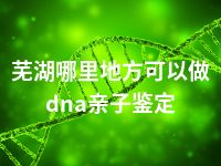 芜湖哪里地方可以做dna亲子鉴定