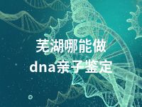 芜湖哪能做dna亲子鉴定