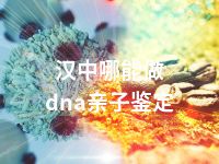 汉中哪能做dna亲子鉴定