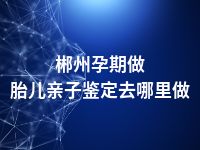 郴州孕期做胎儿亲子鉴定去哪里做