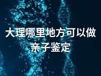 大理哪里地方可以做亲子鉴定