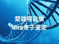 楚雄哪能做dna亲子鉴定