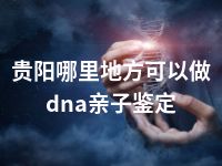 贵阳哪里地方可以做dna亲子鉴定