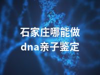 石家庄哪能做dna亲子鉴定