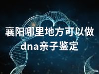 襄阳哪里地方可以做dna亲子鉴定