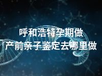 呼和浩特孕期做产前亲子鉴定去哪里做